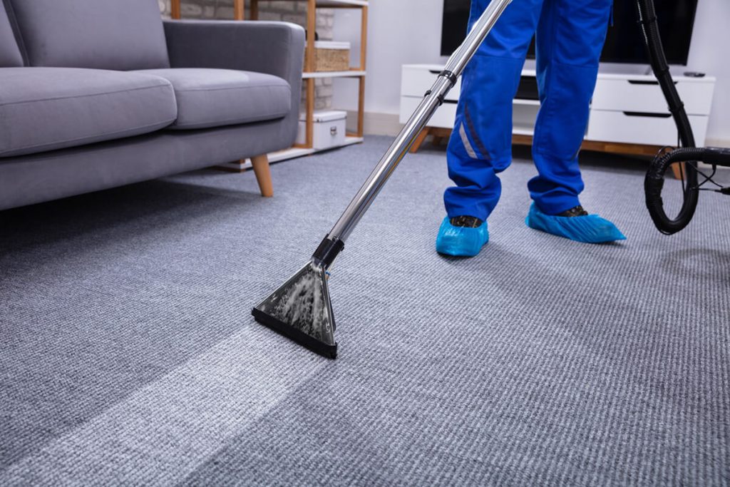 How to Maintain a Clean and Healthy Home with Carpet Cleaning in Brighton?