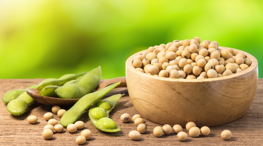 Using Soybean For Health, Uses And Side Effects
